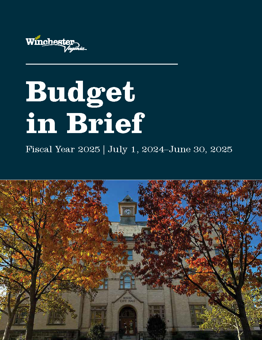 Budget in Brief FY25_Page_01.png